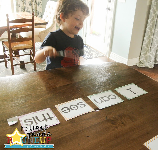 swatting a sight word sentence