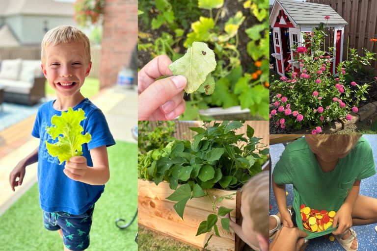 lessons learned from gardening - blog image