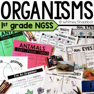 animal adaptations unit cover image