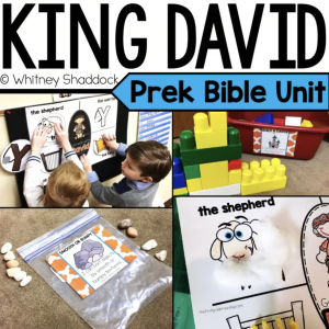 king david bible story - cover image